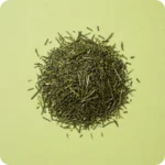 Loser Sencha Grüntee von MEE KAFFEE mit sorgfältig verarbeiteten, dunkelgrünen Teeblättern. Der traditionelle japanische Grüntee überzeugt durch seine frische, leicht grasige Note, feines Umami und eine ausgewogene Aromatik.